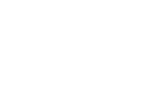 Nitiya Logistic Truck